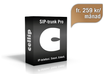 SIP-trunk_pro_promo