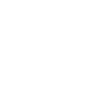 IP vxel