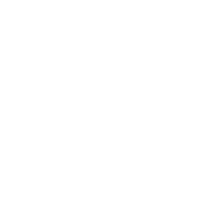Mobilvxel