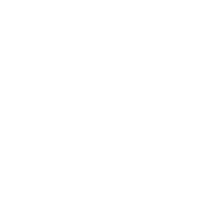 Telefonvxel