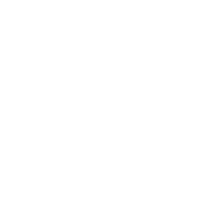 Skype vxel
